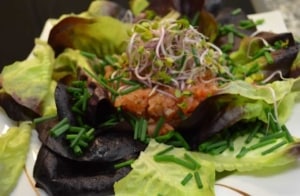 Salat mit Lachstartar und Radieschensprossen