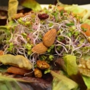 Salat mit Nüssen, getrockneten Früchten und Radieschensprossen