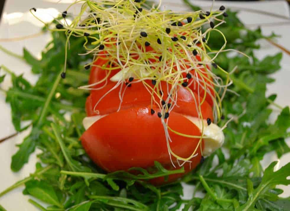 Tomaten-Mozzarella Türmchen auf Rucola mit Zwiebelsprossen - weight ...