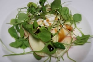 Fenchel Apfel Portulak Salat