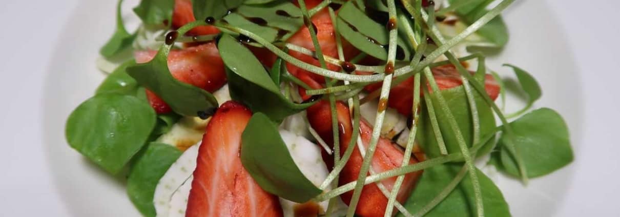Fenchel Erdbeer Portulak Salat