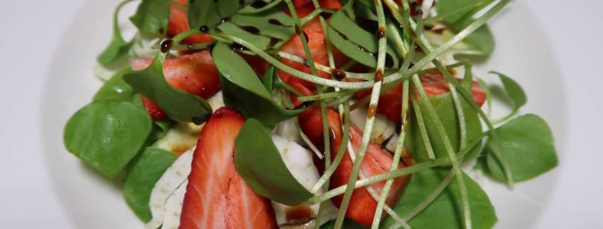 Fenchel Erdbeer Portulak Salat