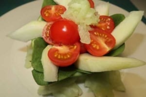 Gurrkenmelone Salat