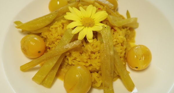 Gelbes Meune Safranrisotto mit gelben Tomaten und gelben Randen