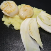 Weisses Menue Jakobsmuscheln mit Kartoffelstampf und gebratenem Fenchel